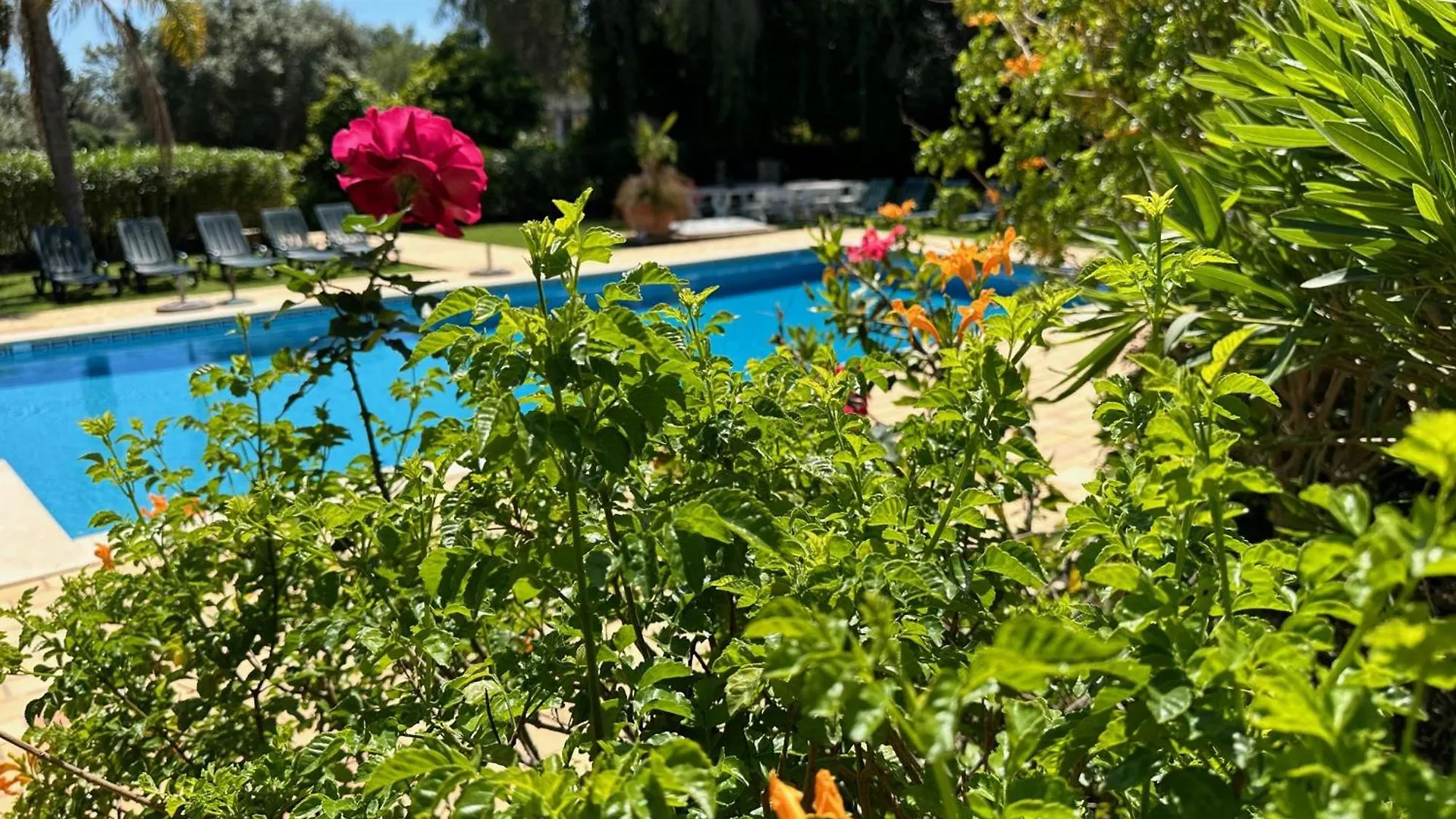 Villa Lagos Algarve For Families & Friends, 6 Bedrooms, 7 Bathrooms, Pool, Bbq, Central Heating Pedra Alcada Portugal
